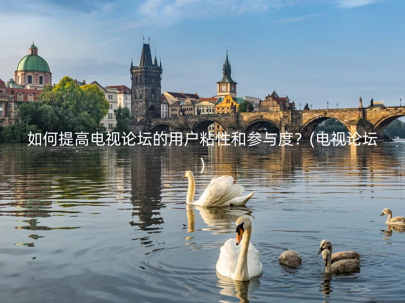 如何提高电视论坛的用户粘性和参与度？(电视论坛)