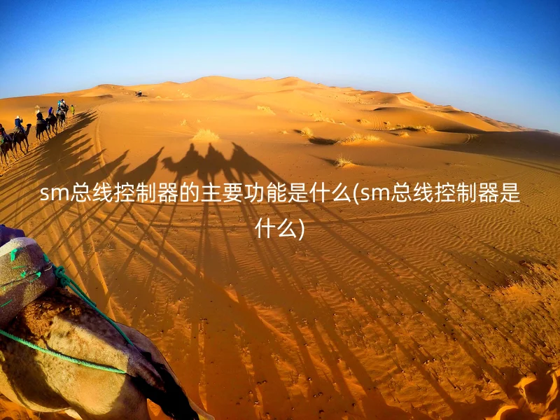 sm总线控制器的主要功能是什么(sm总线控制器是什么)