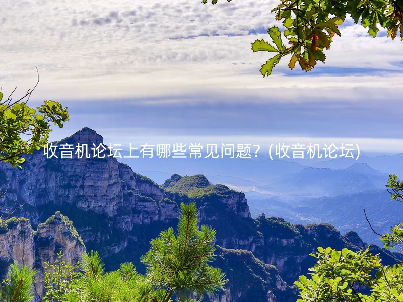 收音机论坛上有哪些常见问题？(收音机论坛)