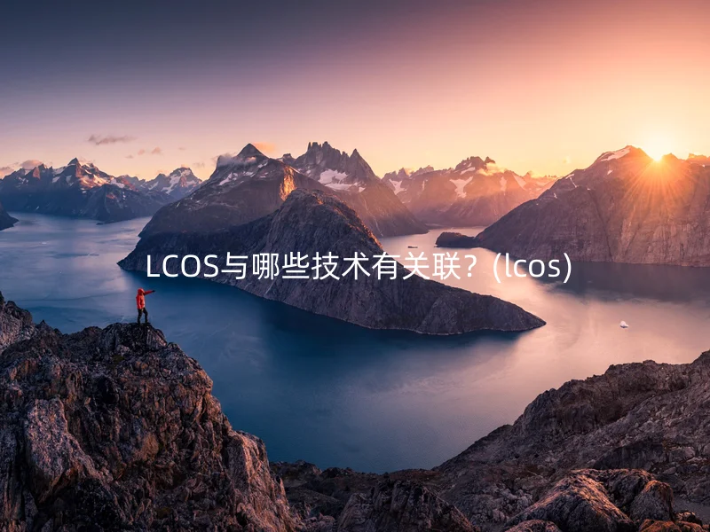  LCOS与哪些技术有关联？(lcos)