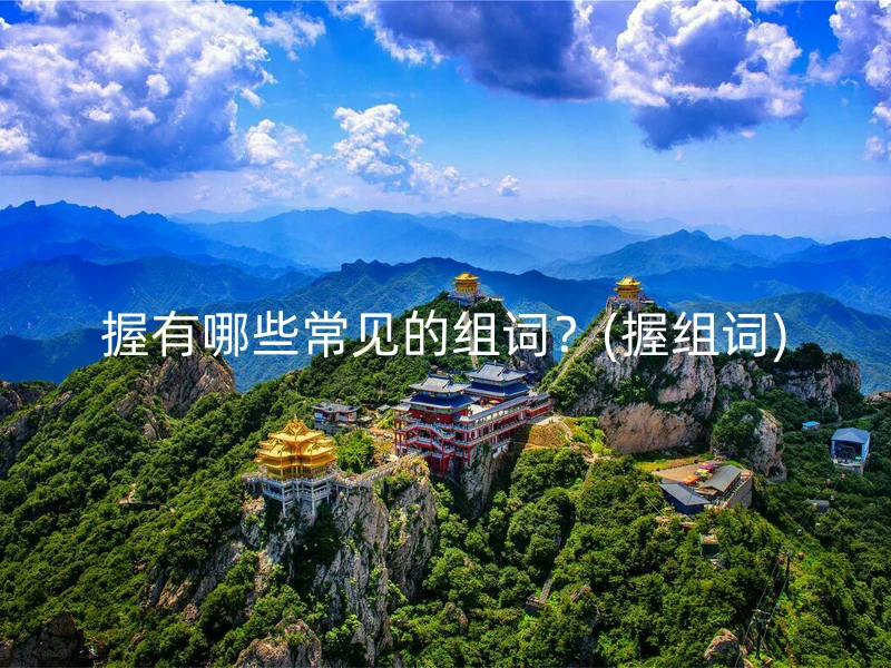 握有哪些常见的组词？(握组词)