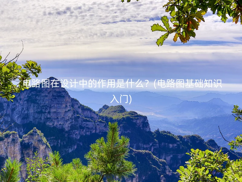  电路图在设计中的作用是什么？(电路图基础知识入门)