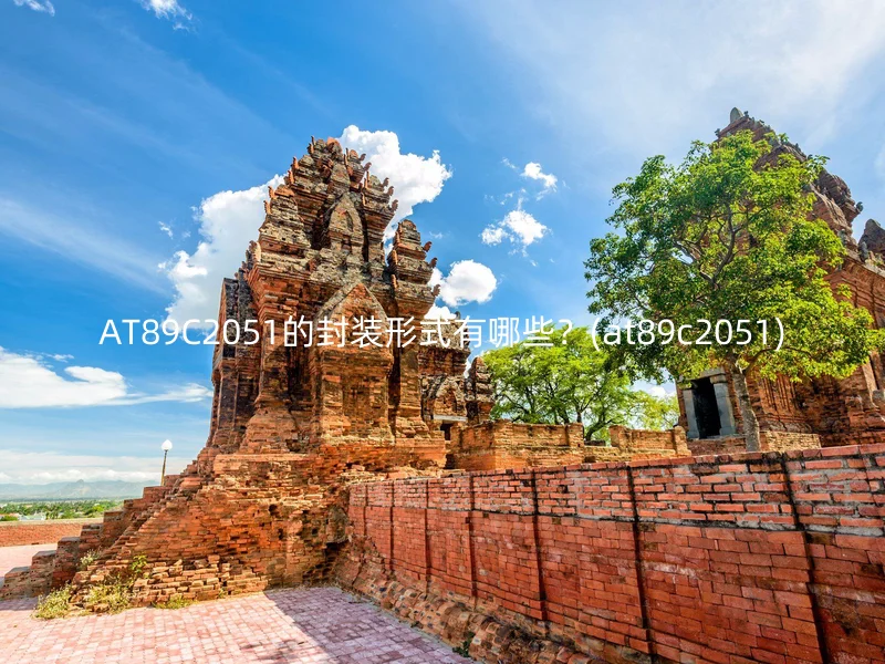 AT89C2051的封装形式有哪些？(at89c2051)