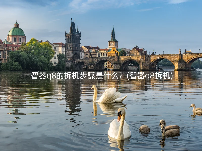  智器q8的拆机步骤是什么？(智器q8拆机)