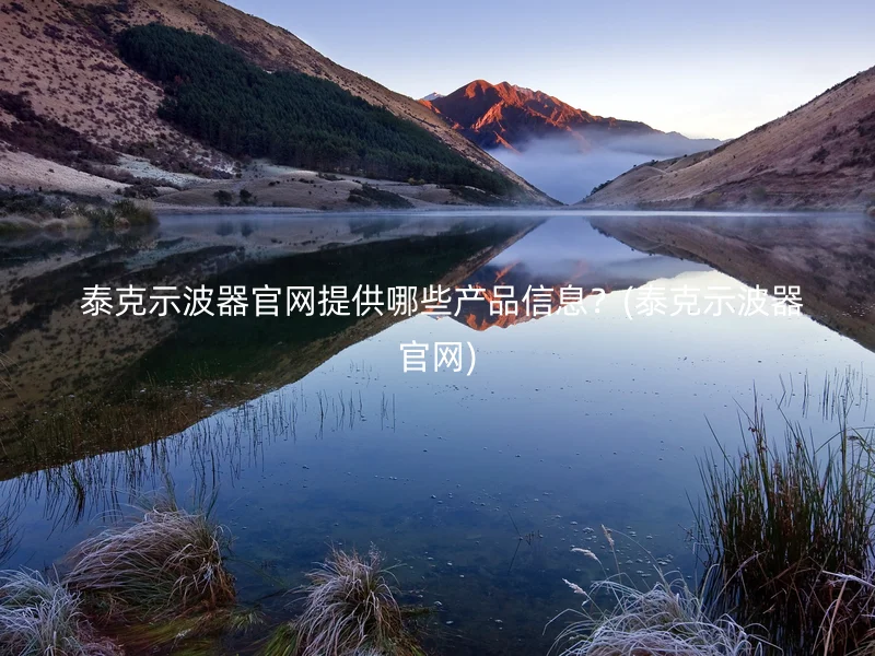  泰克示波器官网提供哪些产品信息？(泰克示波器官网)