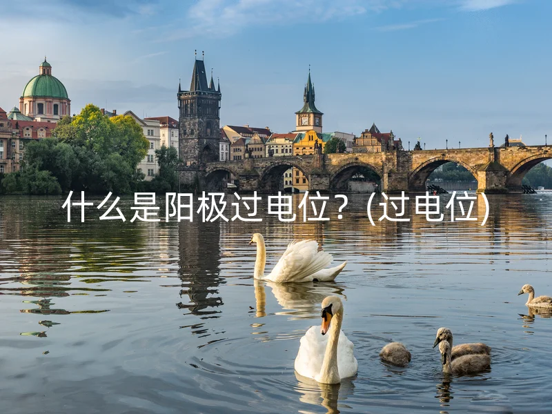 什么是阳极过电位？(过电位)