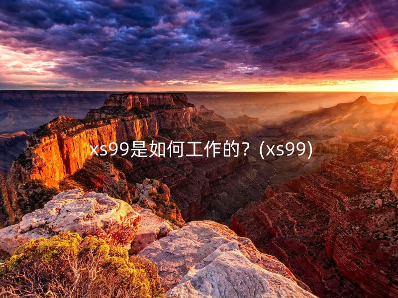  xs99是如何工作的？(xs99)