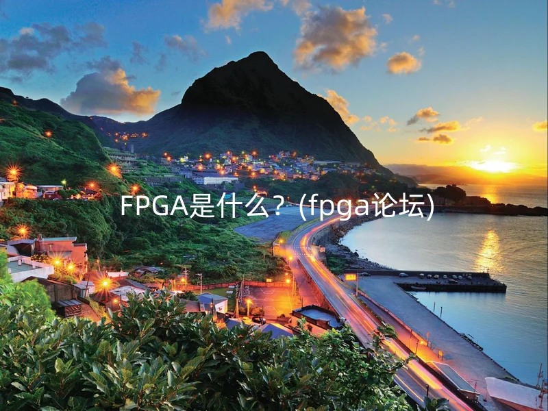  FPGA是什么？(fpga论坛)