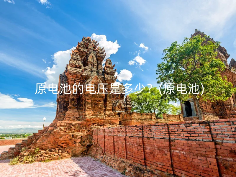  原电池的电压是多少？(原电池)