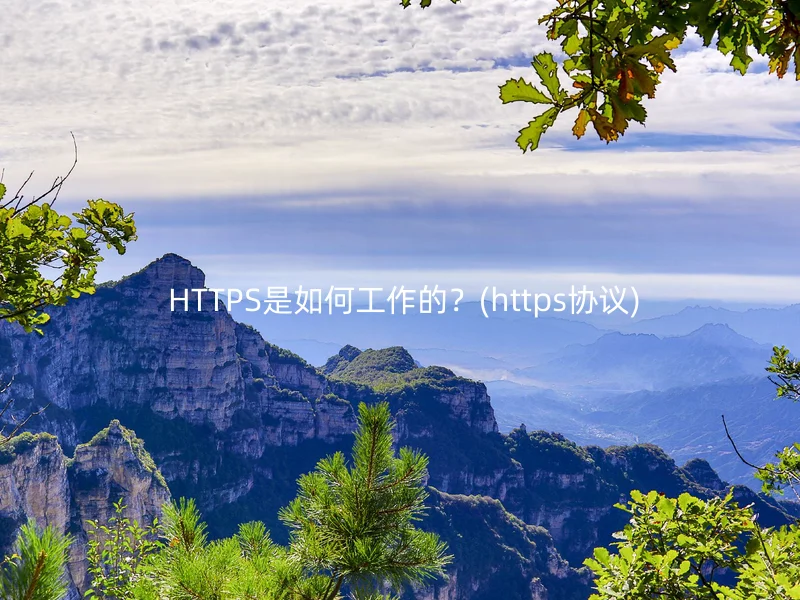  HTTPS是如何工作的？(https协议)