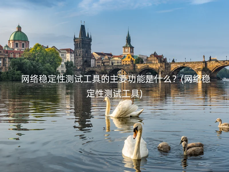  网络稳定性测试工具的主要功能是什么？(网络稳定性测试工具)