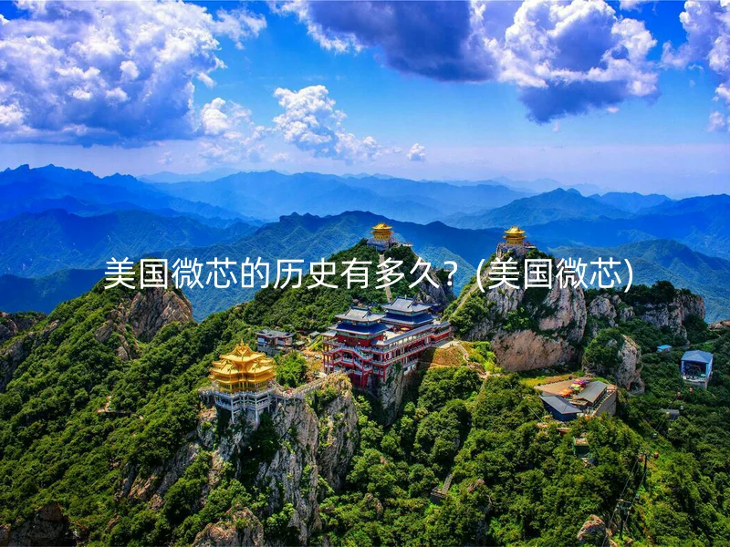  美国微芯的历史有多久？(美国微芯)