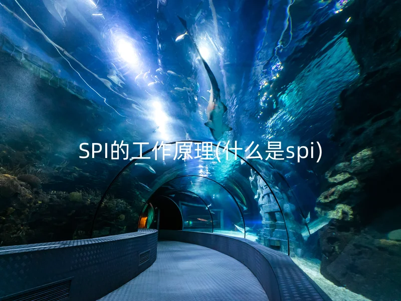 SPI的工作原理(什么是spi)