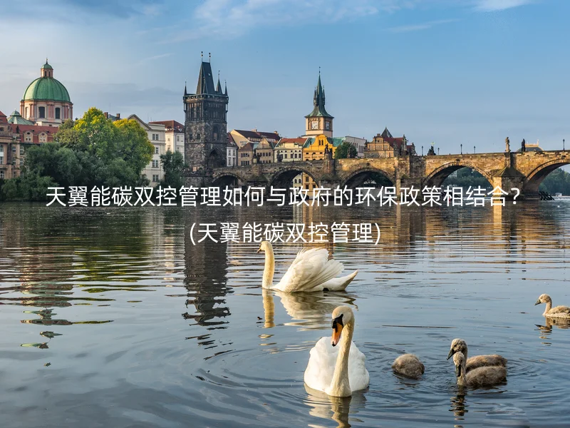  天翼能碳双控管理如何与政府的环保政策相结合？(天翼能碳双控管理)