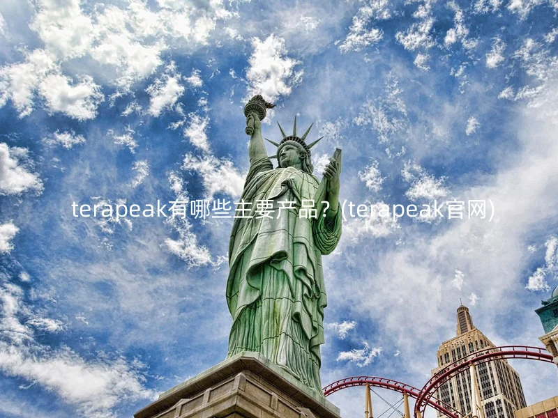  terapeak有哪些主要产品？(terapeak官网)
