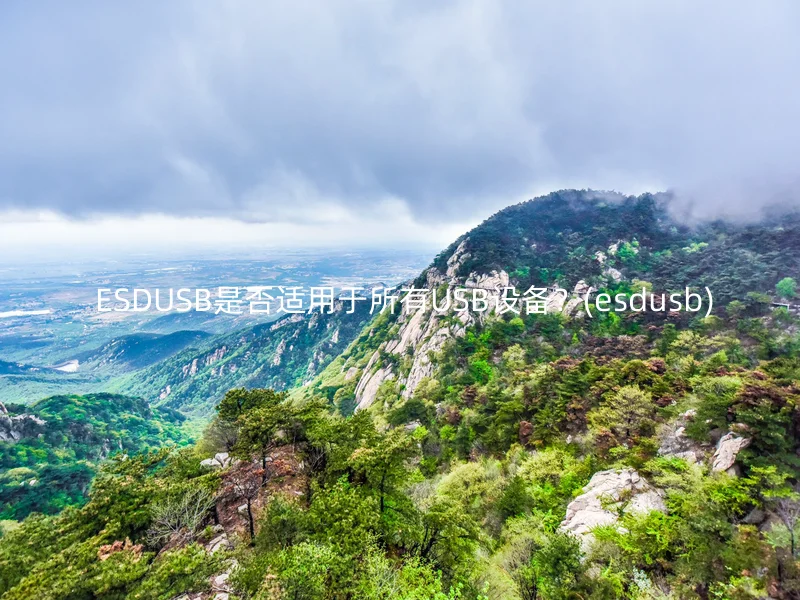  ESDUSB是否适用于所有USB设备？(esdusb)