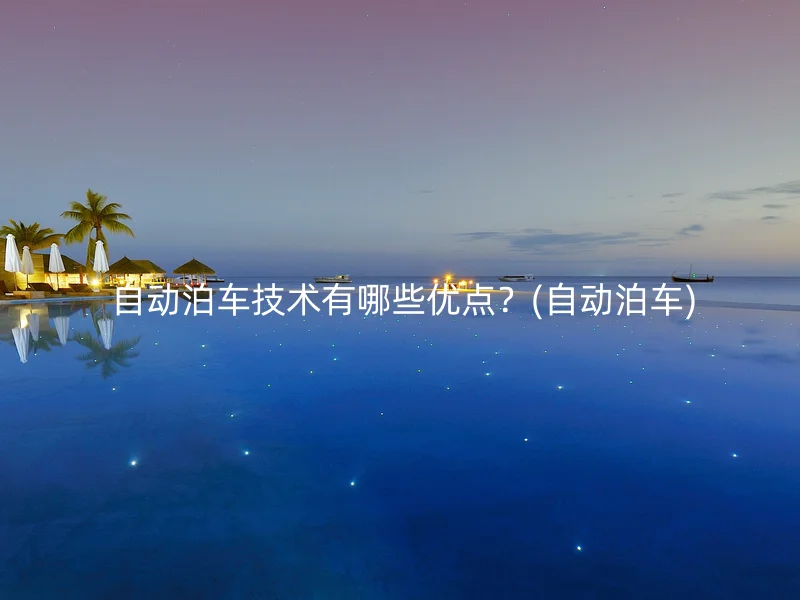  自动泊车技术有哪些优点？(自动泊车)