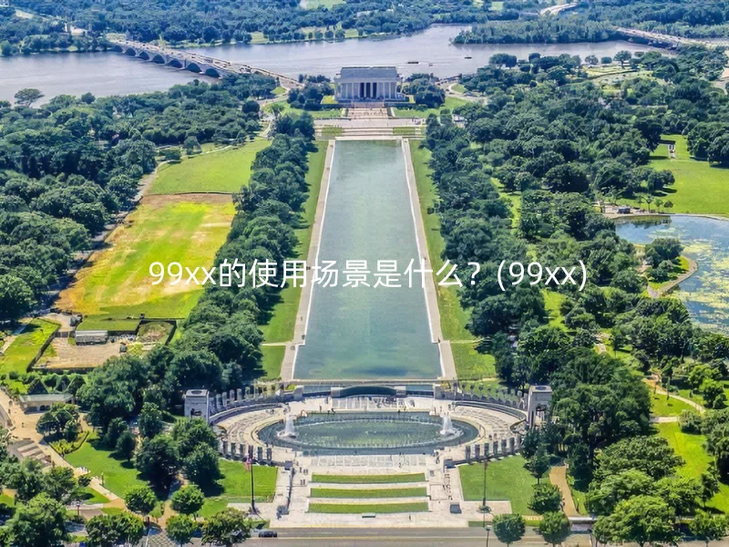  99xx的使用场景是什么？(99xx)