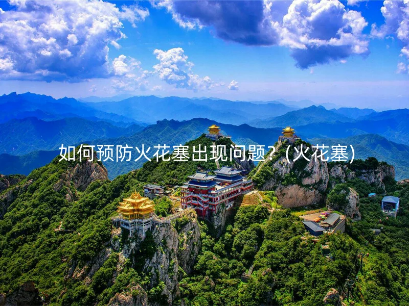  如何预防火花塞出现问题？(火花塞)