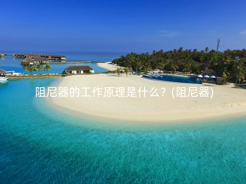  阻尼器的工作原理是什么？(阻尼器)