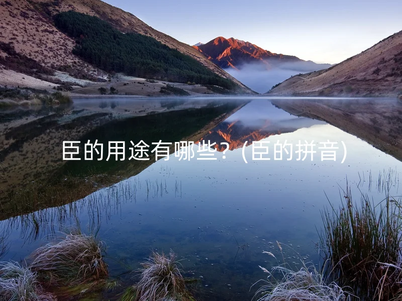  臣的用途有哪些？(臣的拼音)