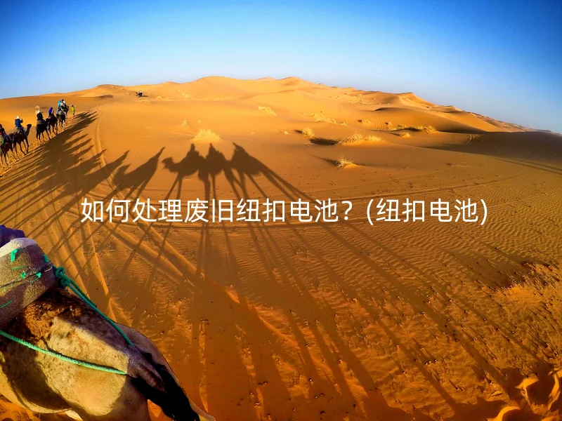  如何处理废旧纽扣电池？(纽扣电池)