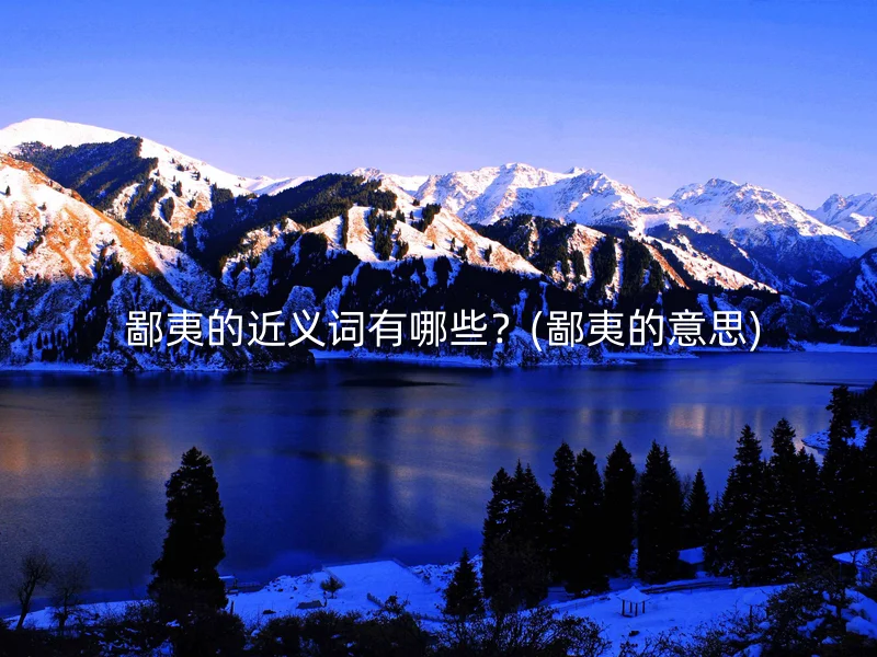  鄙夷的近义词有哪些？(鄙夷的意思)