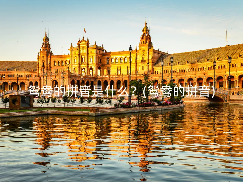 鸳鸯的拼音是什么？(鸳鸯的拼音)