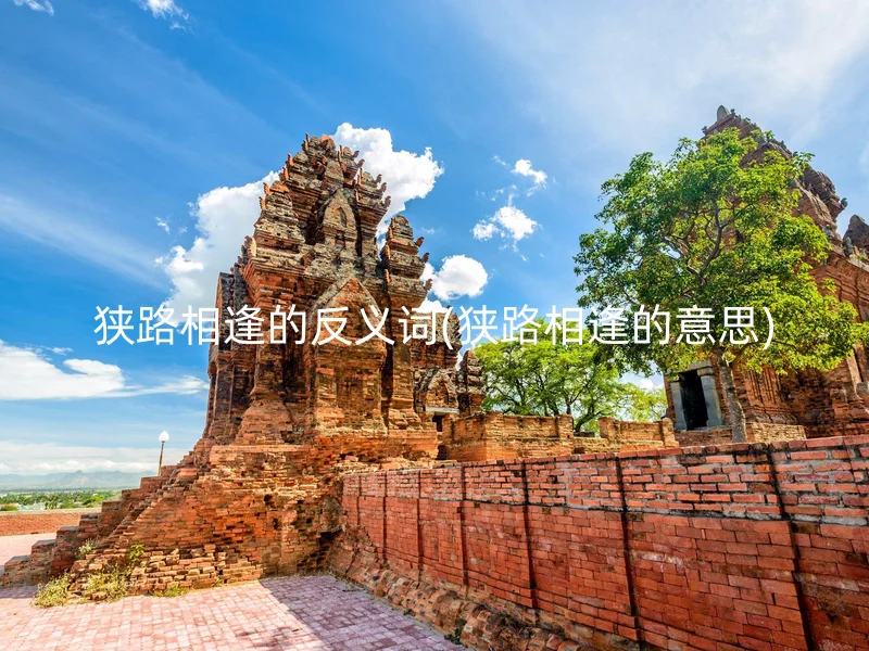 狭路相逢的反义词(狭路相逢的意思)
