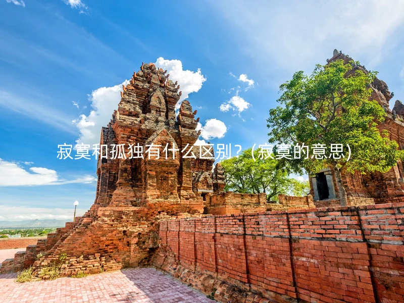  寂寞和孤独有什么区别？(寂寞的意思)