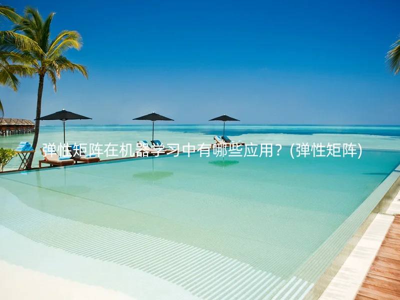  弹性矩阵在机器学习中有哪些应用？(弹性矩阵)