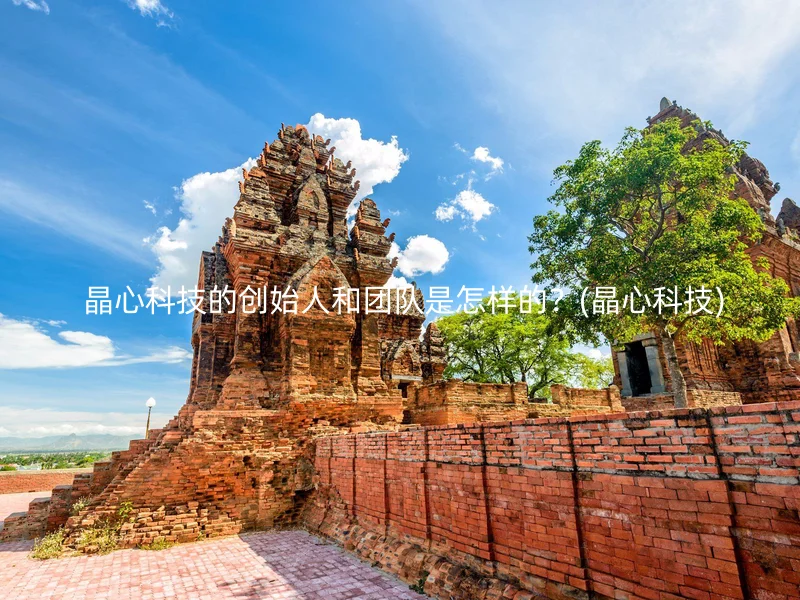  晶心科技的创始人和团队是怎样的？(晶心科技)