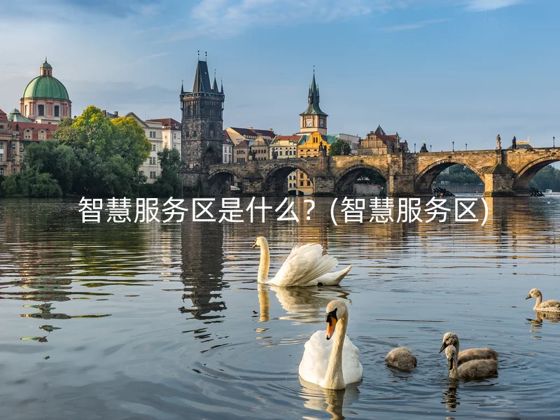  智慧服务区是什么？(智慧服务区)