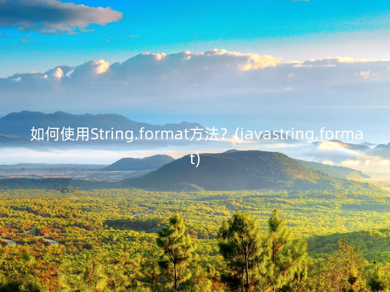  如何使用String.format方法？(javastring.format)