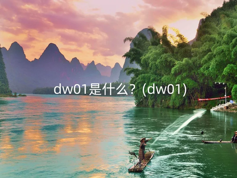  dw01是什么？(dw01)
