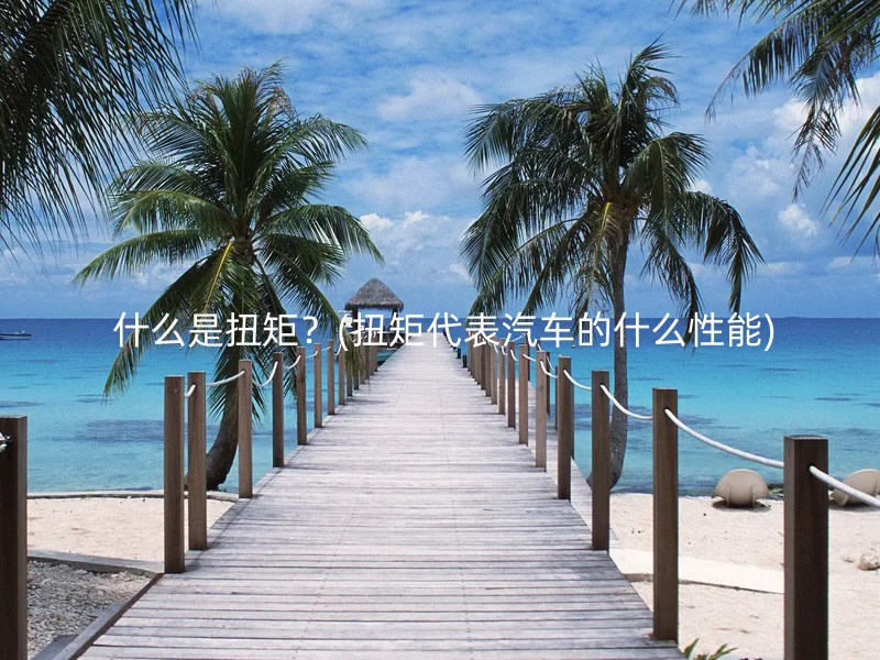  什么是扭矩？(扭矩代表汽车的什么性能)