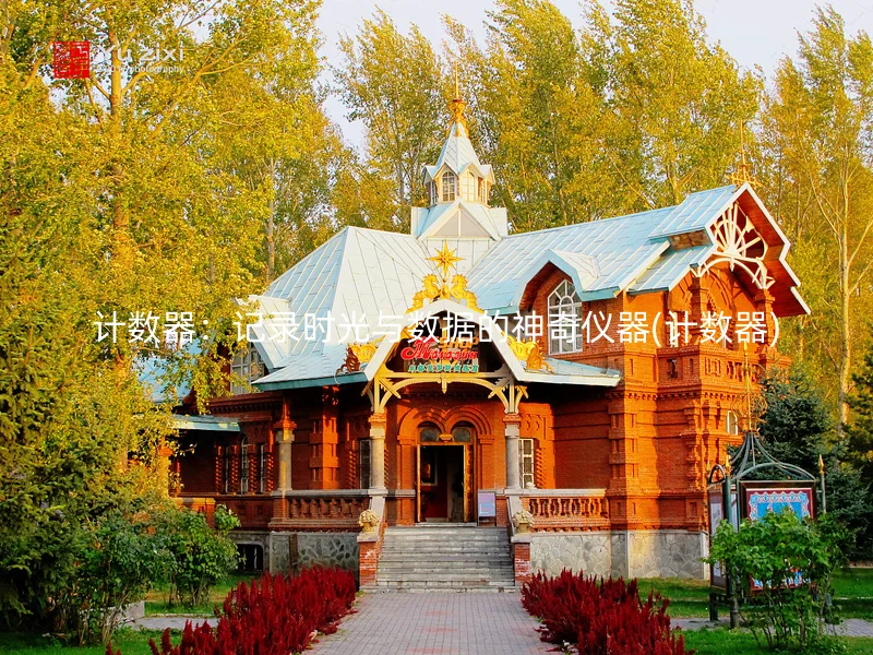 计数器：记录时光与数据的神奇仪器(计数器)