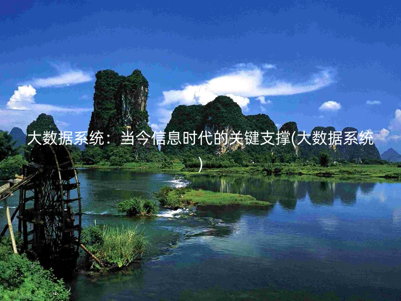 大数据系统：当今信息时代的关键支撑(大数据系统)