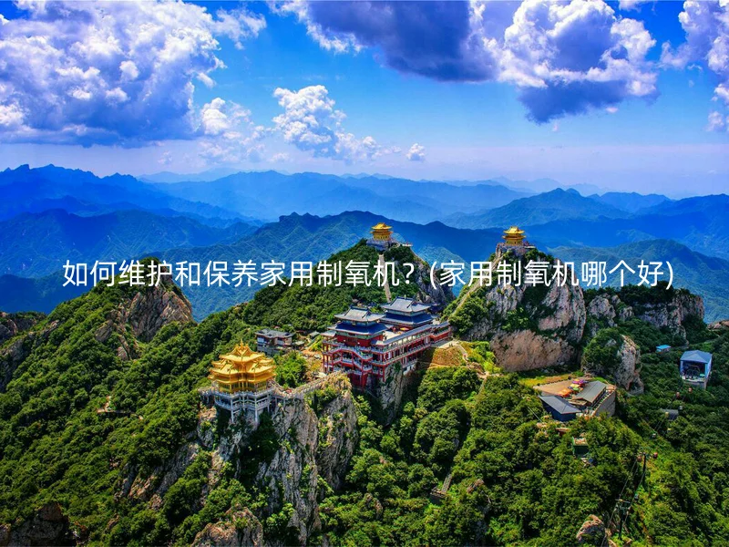  如何维护和保养家用制氧机？(家用制氧机哪个好)