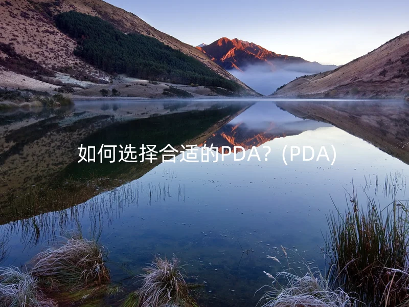  如何选择合适的PDA？(PDA)