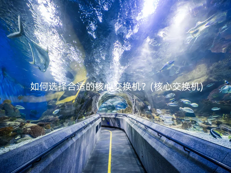  如何选择合适的核心交换机？(核心交换机)