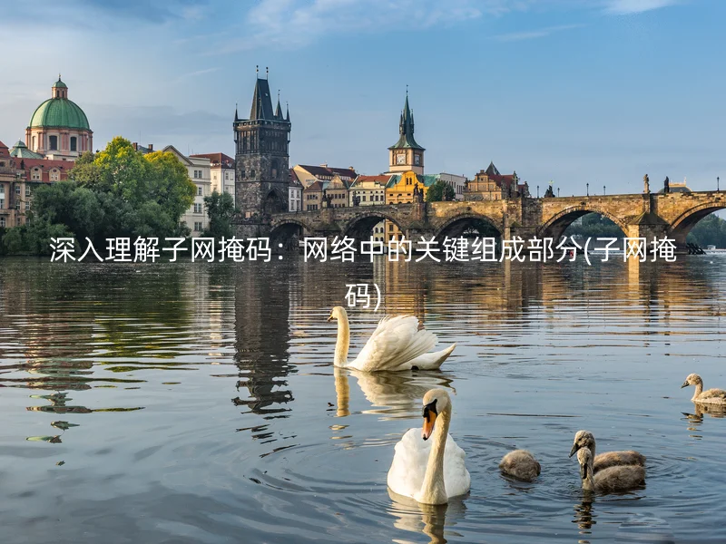 深入理解子网掩码：网络中的关键组成部分(子网掩码)