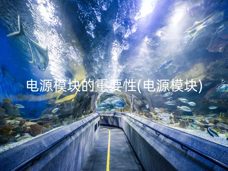 电源模块的重要性(电源模块)