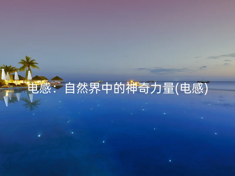 电感：自然界中的神奇力量(电感)