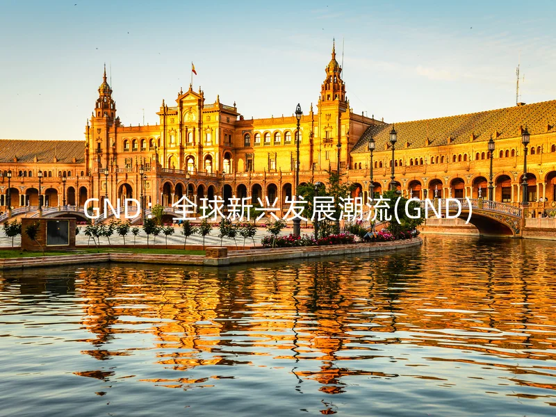 GND：全球新兴发展潮流(GND)