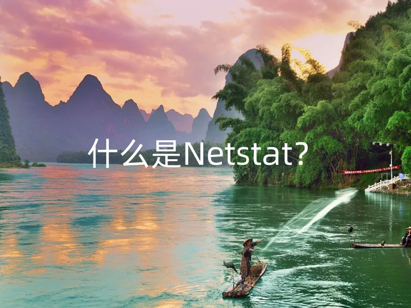 什么是Netstat？