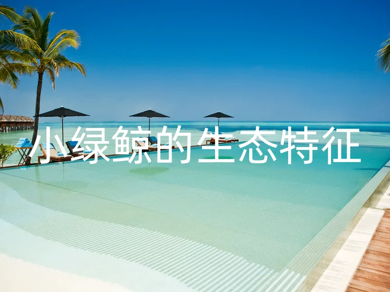 小绿鲸的生态特征