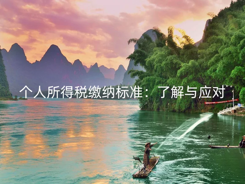 个人所得税缴纳标准：了解与应对