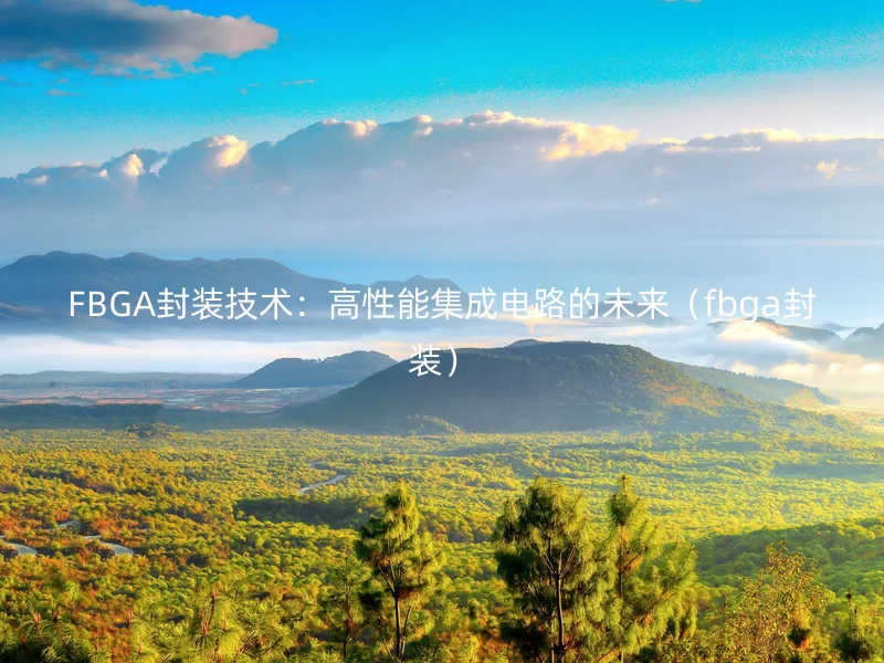 FBGA封装技术：高性能集成电路的未来（fbga封装）