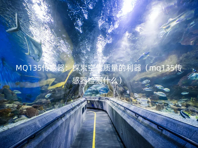 MQ135传感器：探索空气质量的利器（mq135传感器检测什么）